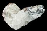 Metallic, Needle-Like Pyrolusite Cystals in Quartz - Morocco #140996-1